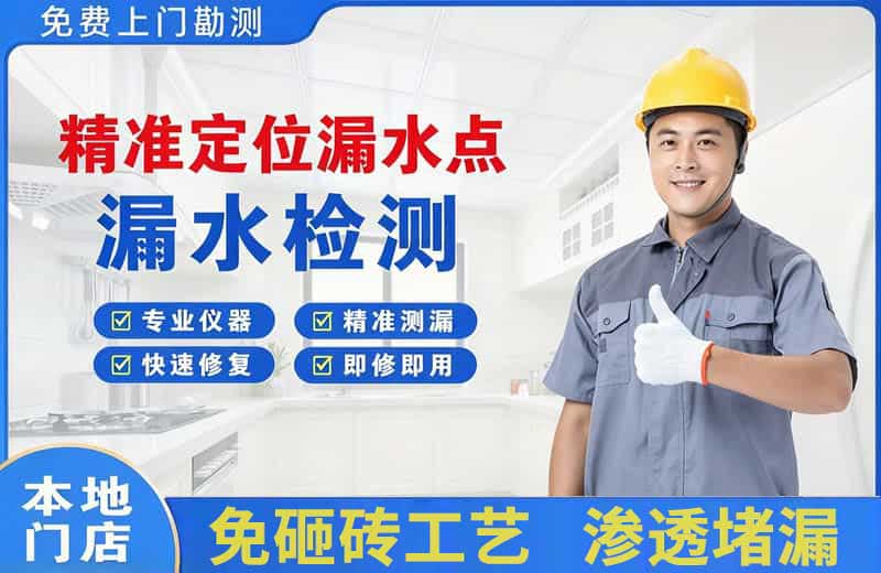 沧浪精准测漏点